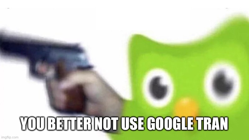 duolingo gun | YOU BETTER NOT USE GOOGLE TRANSLATE | image tagged in duolingo gun | made w/ Imgflip meme maker