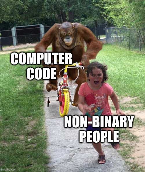 Orangutan chasing girl on a tricycle | COMPUTER CODE; NON-BINARY PEOPLE | image tagged in orangutan chasing girl on a tricycle | made w/ Imgflip meme maker