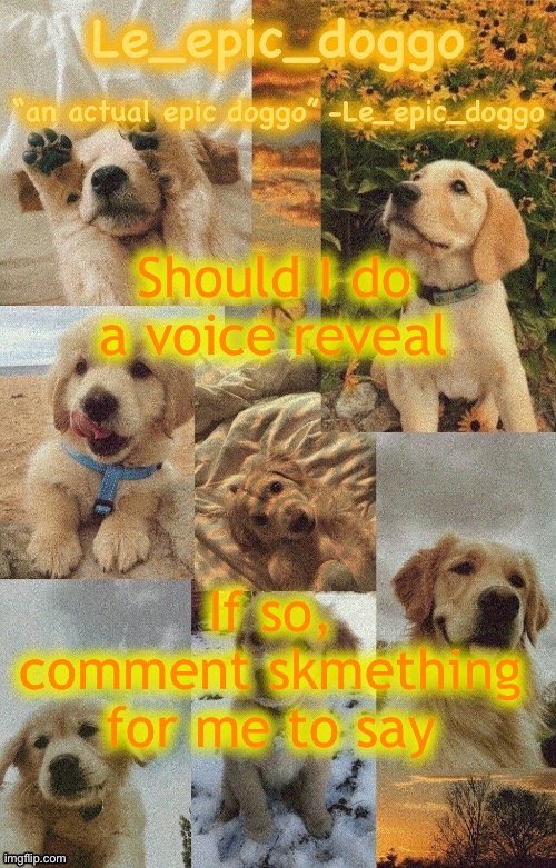 Not anything nsfw because amog | Should I do a voice reveal; If so, comment skmething for me to say | image tagged in doggo temp by doggo wait what that s confusing | made w/ Imgflip meme maker