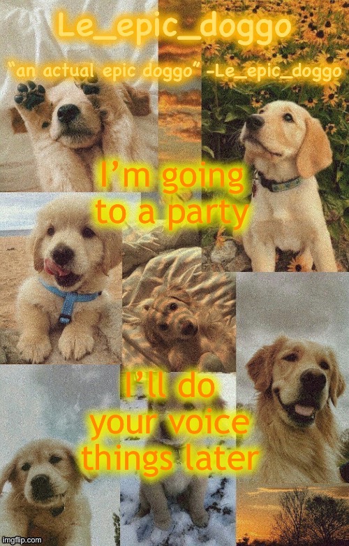Doggo temp by doggo. Wait what that’s confusing | I’m going to a party; I’ll do your voice things later | image tagged in doggo temp by doggo wait what that s confusing | made w/ Imgflip meme maker