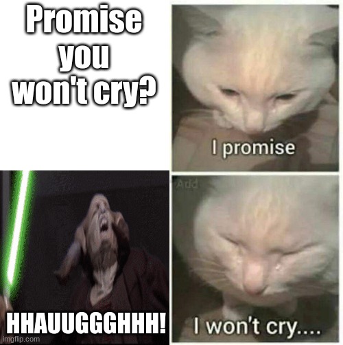 I promise I won't cry | Promise you won't cry? HHAUUGGGHHH! | image tagged in i promise i won't cry | made w/ Imgflip meme maker