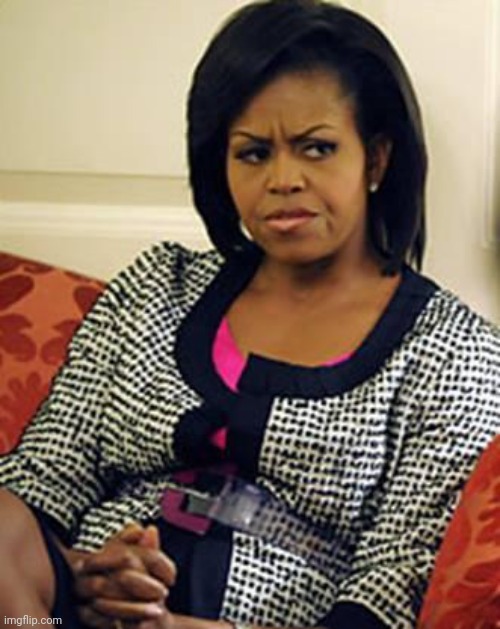 Michelle Obama is not pleased | image tagged in michelle obama is not pleased | made w/ Imgflip meme maker