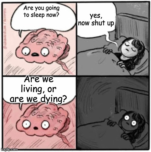 more meme | yes, now shut up; Are you going to sleep now? Are we living, or are we dying? | image tagged in brain before sleep | made w/ Imgflip meme maker