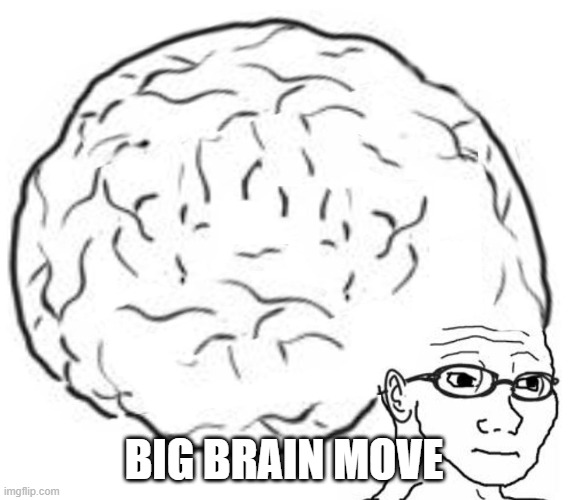 Big Brain | BIG BRAIN MOVE | image tagged in big brain | made w/ Imgflip meme maker