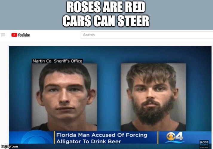 I mean wtf | ROSES ARE RED
CARS CAN STEER | image tagged in roses are red | made w/ Imgflip meme maker