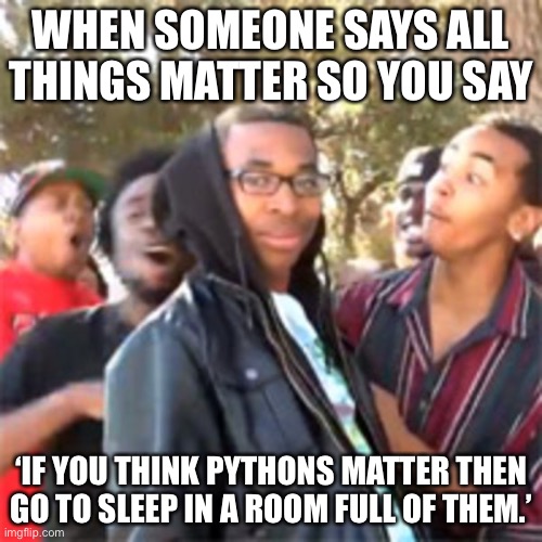 Self destruct ? | WHEN SOMEONE SAYS ALL THINGS MATTER SO YOU SAY; ‘IF YOU THINK PYTHONS MATTER THEN GO TO SLEEP IN A ROOM FULL OF THEM.’ | image tagged in black boy roast,destruction 100 | made w/ Imgflip meme maker