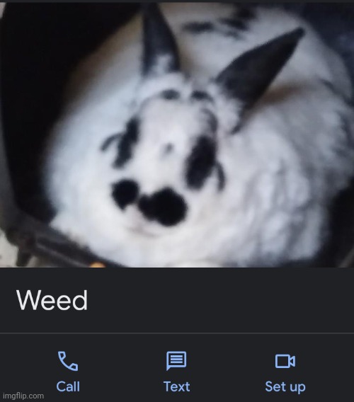 I changed my mum's contact name to weed | made w/ Imgflip meme maker