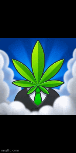 Weed money! | image tagged in gifs,weed,money | made w/ Imgflip images-to-gif maker