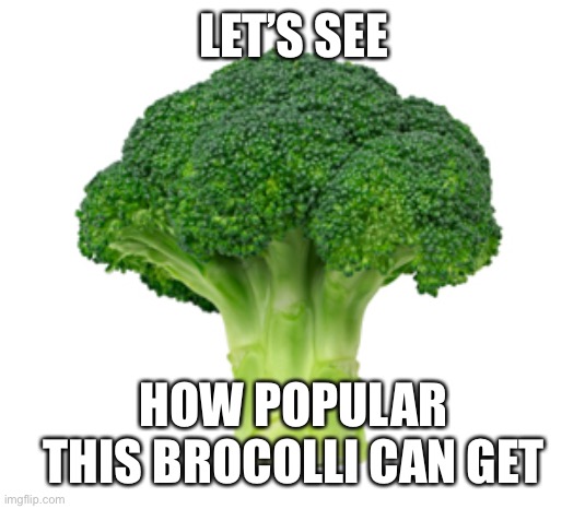 Brocolli | LET’S SEE; HOW POPULAR THIS BROCOLLI CAN GET | image tagged in brocolli,upvotes please | made w/ Imgflip meme maker