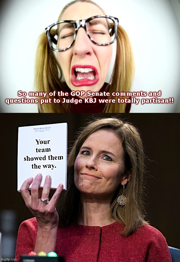 Ketanji Brown Jackson Confirmation Process: Liberals set the example, then boohoo when the tables are turned | So many of the GOP Senate comments and questions put to Judge KBJ were totally partisan!! Your team showed them the way. | image tagged in amy coney barrett blank notes,ketanji brown jackson,scotus,confirmation,liberal hypocrisy,crying democrats | made w/ Imgflip meme maker
