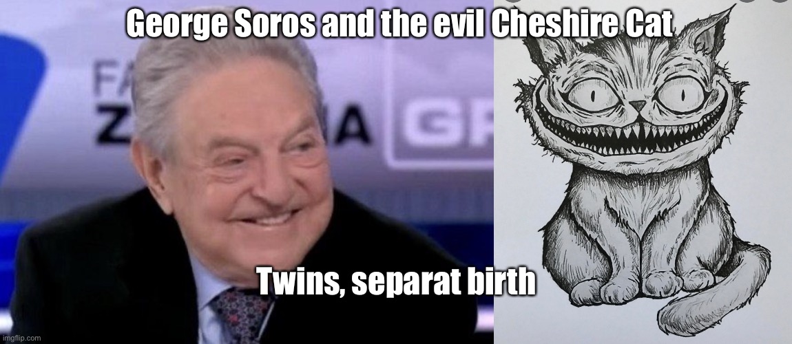 Birds of a feather | George Soros and the evil Cheshire Cat; Twins, separated at birth | image tagged in soros,cheshire cat,george soros,twins,evil | made w/ Imgflip meme maker