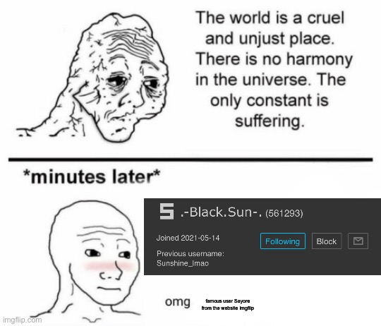 The only constant is suffering | famous user Sayore from the website Imgflip | image tagged in minutes later omg | made w/ Imgflip meme maker