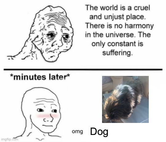 The only constant is suffering | Dog | image tagged in minutes later omg | made w/ Imgflip meme maker