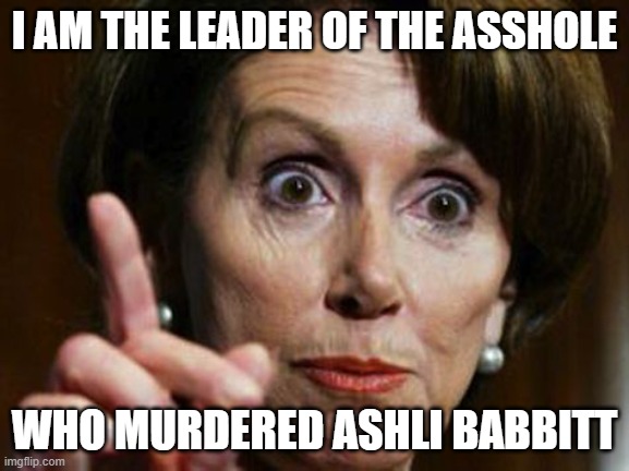 Nancy Pelosi No Spending Problem | I AM THE LEADER OF THE ASSHOLE WHO MURDERED ASHLI BABBITT | image tagged in nancy pelosi no spending problem | made w/ Imgflip meme maker