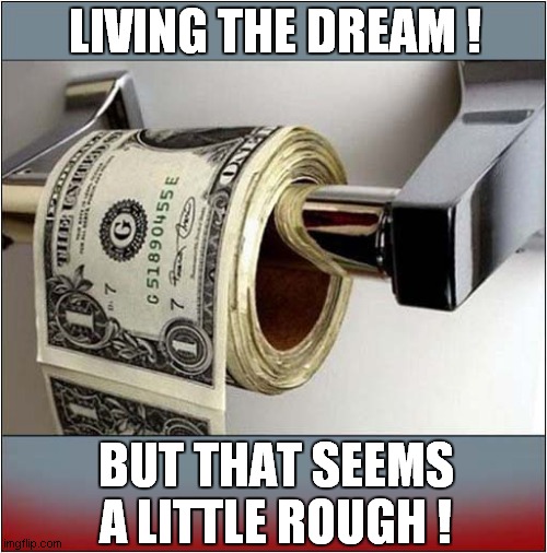 When You Come Into Money ! | LIVING THE DREAM ! BUT THAT SEEMS A LITTLE ROUGH ! | image tagged in money,toilet paper | made w/ Imgflip meme maker