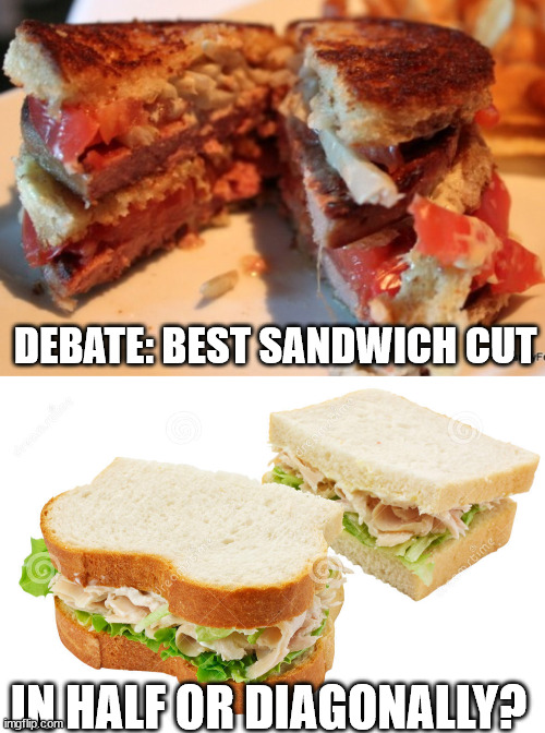 How do you cut your sandwich | DEBATE: BEST SANDWICH CUT; IN HALF OR DIAGONALLY? | image tagged in sandwich | made w/ Imgflip meme maker