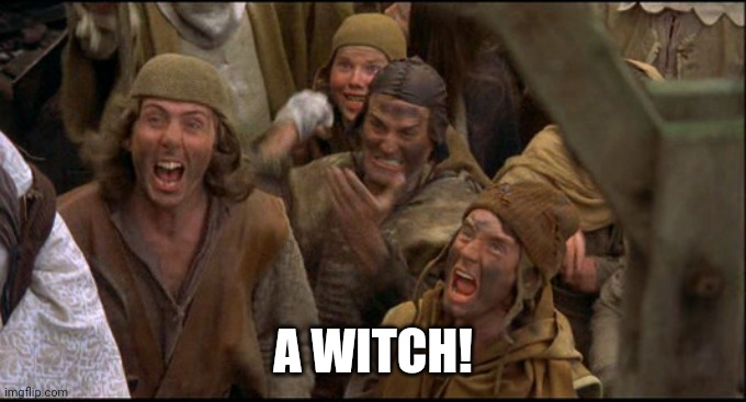 Monty Python witch | A WITCH! | image tagged in monty python witch | made w/ Imgflip meme maker