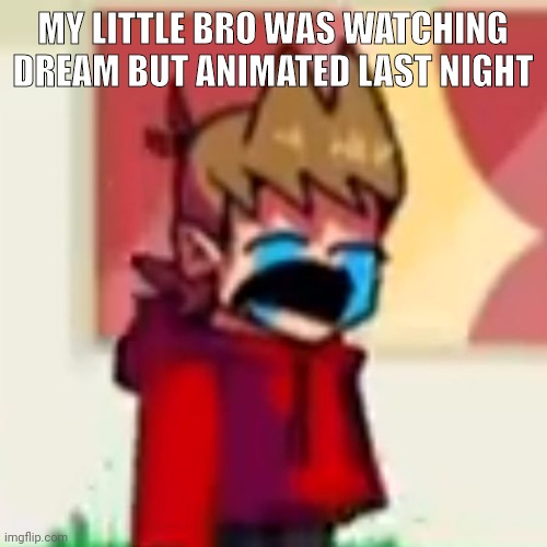 Sad Tord | MY LITTLE BRO WAS WATCHING DREAM BUT ANIMATED LAST NIGHT | image tagged in sad tord | made w/ Imgflip meme maker