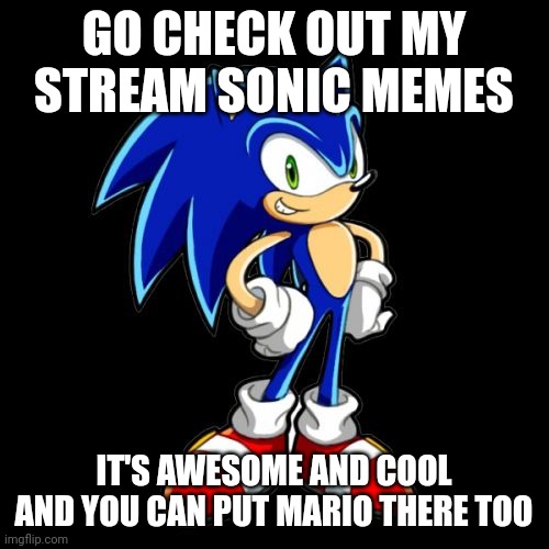 Stream motivational poster (REMADE) | GO CHECK OUT MY STREAM SONIC MEMES; IT'S AWESOME AND COOL AND YOU CAN PUT MARIO THERE TOO | image tagged in memes,you're too slow sonic | made w/ Imgflip meme maker