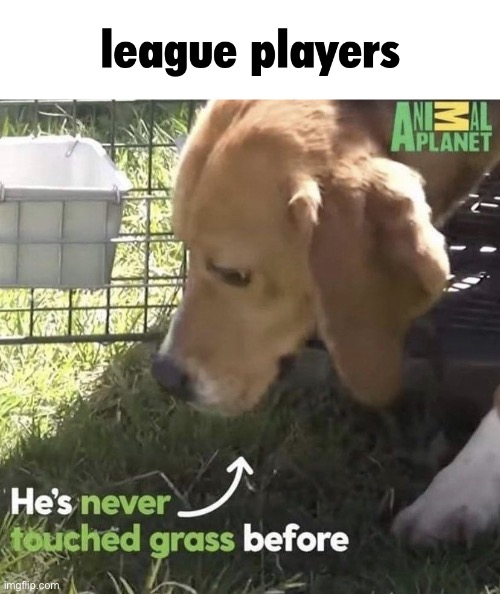 League players | image tagged in league players | made w/ Imgflip meme maker