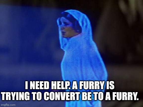 Link in description. From description go to comments. | I NEED HELP. A FURRY IS TRYING TO CONVERT BE TO A FURRY. | image tagged in help me obi wan | made w/ Imgflip meme maker