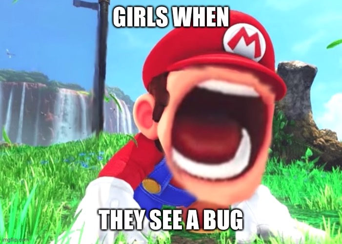 Mario screaming | GIRLS WHEN; THEY SEE A BUG | image tagged in mario screaming | made w/ Imgflip meme maker