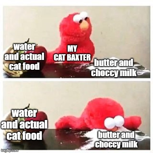 my cat in a nutshell | water and actual cat food; MY CAT BAXTER; butter and choccy milk; water and actual cat food; butter and choccy milk | image tagged in elmo cocaine | made w/ Imgflip meme maker