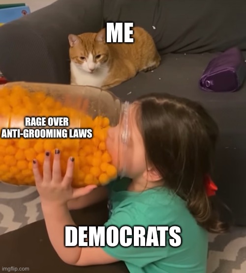 Ok, Groomer | ME; RAGE OVER ANTI-GROOMING LAWS; DEMOCRATS | image tagged in politics,political meme,political,education | made w/ Imgflip meme maker