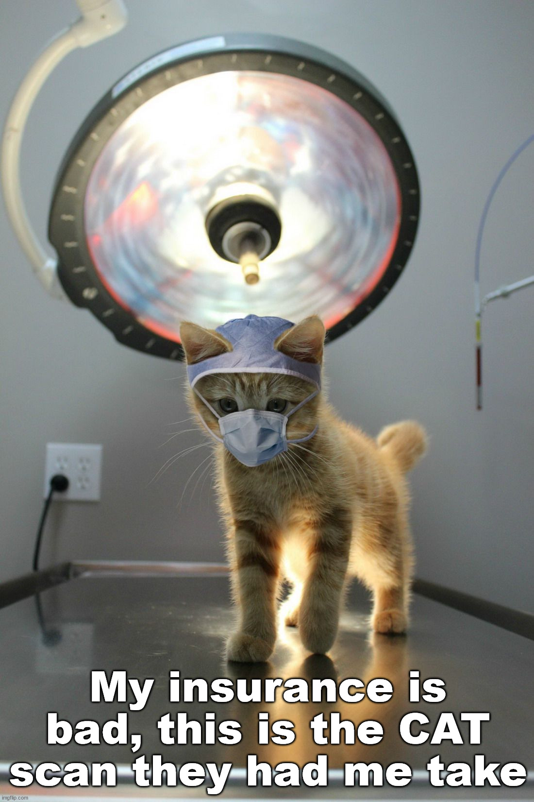 When your insurance is bad. | My insurance is bad, this is the CAT scan they had me take | image tagged in cat,scan,doctor | made w/ Imgflip meme maker
