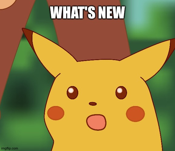 Surprised Pikachu finally yields under the weight of global chaos | WHAT'S NEW | image tagged in surprised pikachu hd,time,bliss | made w/ Imgflip meme maker