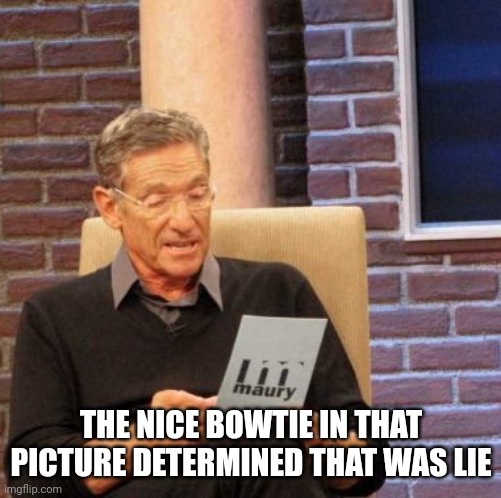 Maury Lie Detector Meme | THE NICE BOWTIE IN THAT PICTURE DETERMINED THAT WAS LIE | image tagged in memes,maury lie detector | made w/ Imgflip meme maker