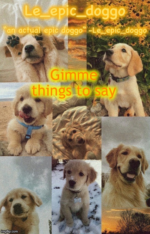 Doggo temp by doggo. Wait what that’s confusing | Gimme things to say | image tagged in doggo temp by doggo wait what that s confusing | made w/ Imgflip meme maker