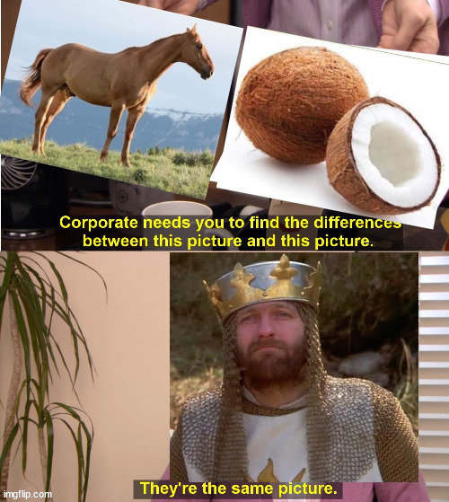 If you know the movie, it is the same. | image tagged in monty python and the holy grail,horse | made w/ Imgflip meme maker