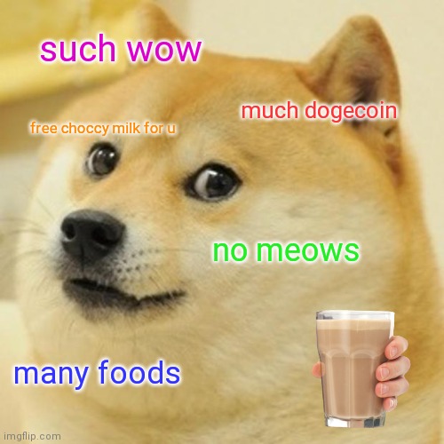 Doge | such wow; much dogecoin; free choccy milk for u; no meows; many foods | image tagged in memes,doge | made w/ Imgflip meme maker