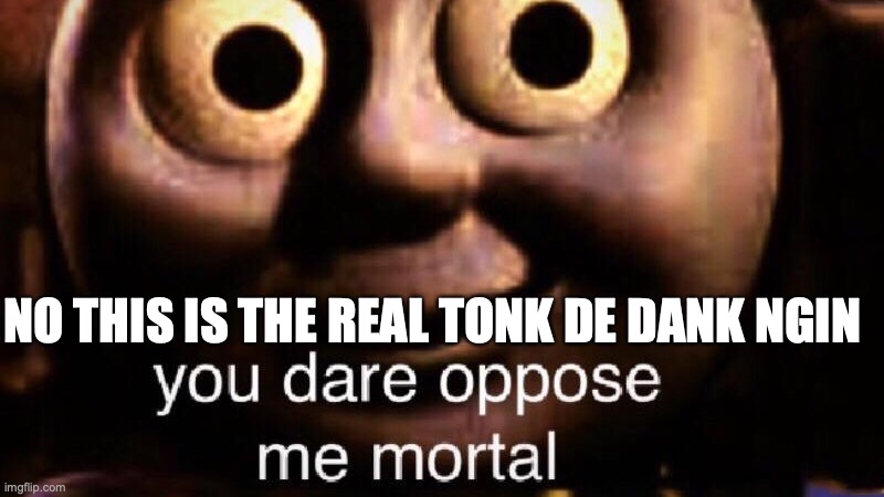 You dare oppose me mortal | NO THIS IS THE REAL TONK DE DANK NGIN | image tagged in you dare oppose me mortal | made w/ Imgflip meme maker