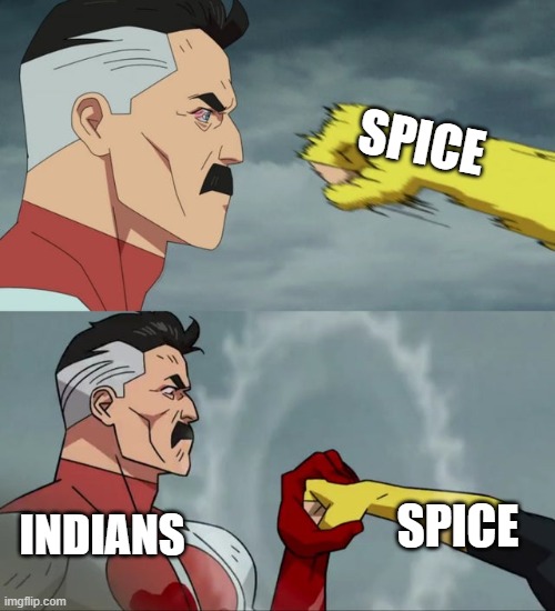 to be honest i'm a lil' jealous at indians cuz of that | SPICE; SPICE; INDIANS | image tagged in omni man blocks punch,indians,spice | made w/ Imgflip meme maker