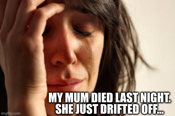 First World Problems Meme | MY MUM DIED LAST NIGHT.
SHE JUST DRIFTED OFF... | image tagged in memes,first world problems | made w/ Imgflip meme maker