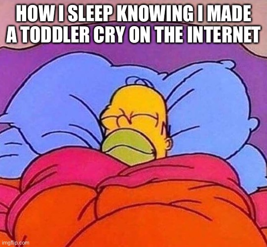 THIS IS ME! | HOW I SLEEP KNOWING I MADE A TODDLER CRY ON THE INTERNET | image tagged in homer simpson sleeping peacefully,true | made w/ Imgflip meme maker