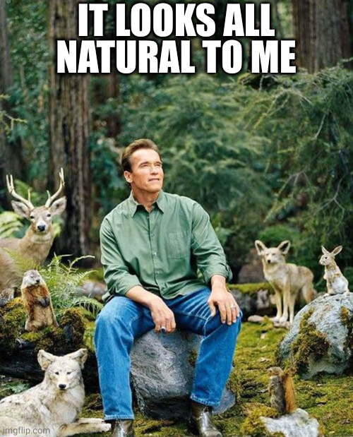 Arnold nature | IT LOOKS ALL NATURAL TO ME | image tagged in arnold nature | made w/ Imgflip meme maker