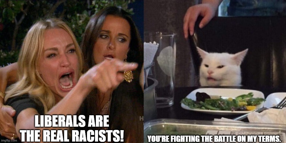 Don't let them set the terms | LIBERALS ARE THE REAL RACISTS! YOU'RE FIGHTING THE BATTLE ON MY TERMS. | image tagged in woman yelling at cat | made w/ Imgflip meme maker