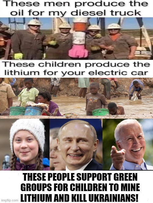 Which group are you in?  Have a nice day!!! |  THESE PEOPLE SUPPORT GREEN GROUPS FOR CHILDREN TO MINE LITHIUM AND KILL UKRAINIANS! | image tagged in morons,putin,smilin biden,greta thunberg,idiots,stupid liberals | made w/ Imgflip meme maker