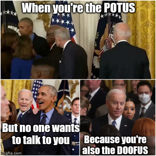 Sad | When you're the POTUS; But no one wants
to talk to you; Because you're also the DOOFUS | image tagged in lonely biden,biden,obama,pandemic | made w/ Imgflip meme maker