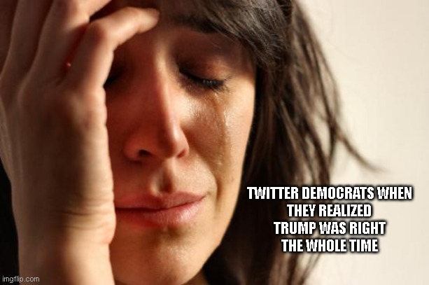 First World Problems | TWITTER DEMOCRATS WHEN
THEY REALIZED
TRUMP WAS RIGHT
THE WHOLE TIME | image tagged in memes,first world problems | made w/ Imgflip meme maker