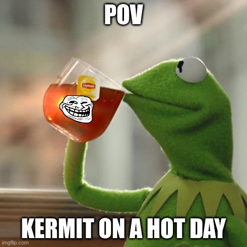 kermit | POV; KERMIT ON A HOT DAY | image tagged in memes,but that's none of my business,kermit the frog | made w/ Imgflip meme maker