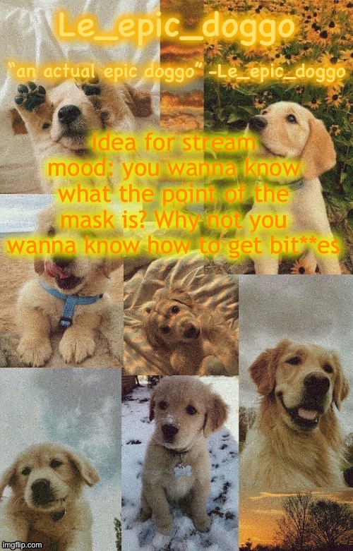 Doggo temp by doggo. Wait what that’s confusing | Idea for stream mood: you wanna know what the point of the mask is? Why not you wanna know how to get bit**es | image tagged in doggo temp by doggo wait what that s confusing | made w/ Imgflip meme maker