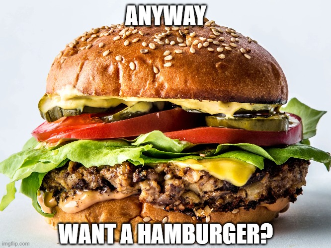 ANYWAY WANT A HAMBURGER? | made w/ Imgflip meme maker