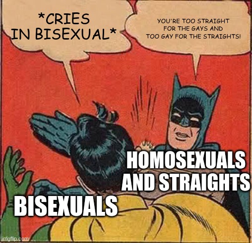 Bisexual Pain | *CRIES IN BISEXUAL*; YOU'RE TOO STRAIGHT FOR THE GAYS AND TOO GAY FOR THE STRAIGHTS! HOMOSEXUALS AND STRAIGHTS; BISEXUALS | image tagged in memes,batman slapping robin | made w/ Imgflip meme maker