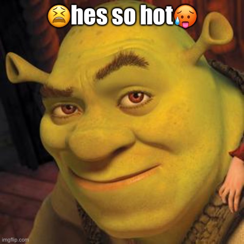 shrek | 😫hes so hot🥵 | image tagged in shrek sexy face | made w/ Imgflip meme maker