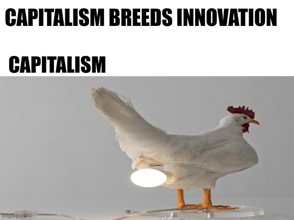 Peak innovation achieved |  CAPITALISM BREEDS INNOVATION; CAPITALISM | image tagged in capitalism,innovation,lightbulb,chicken | made w/ Imgflip meme maker