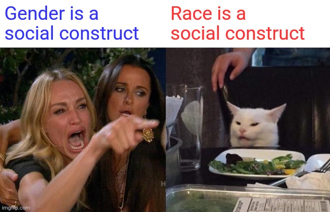Woman Yelling At Cat Meme | Gender is a social construct; Race is a social construct | image tagged in memes,woman yelling at cat | made w/ Imgflip meme maker
